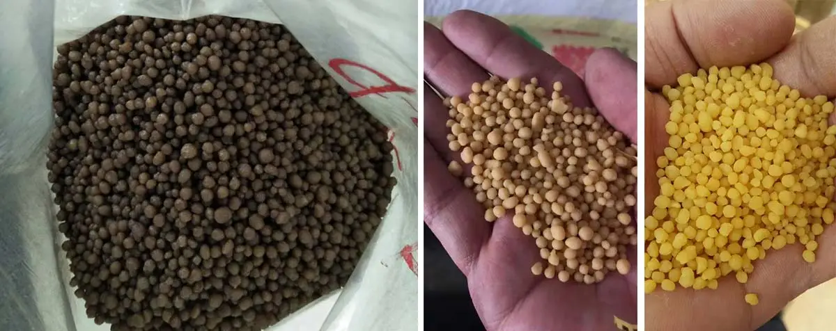 Diammonium phosphate
