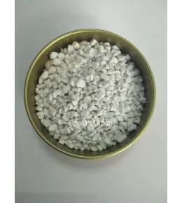 SOP 