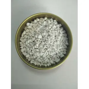 SOP 