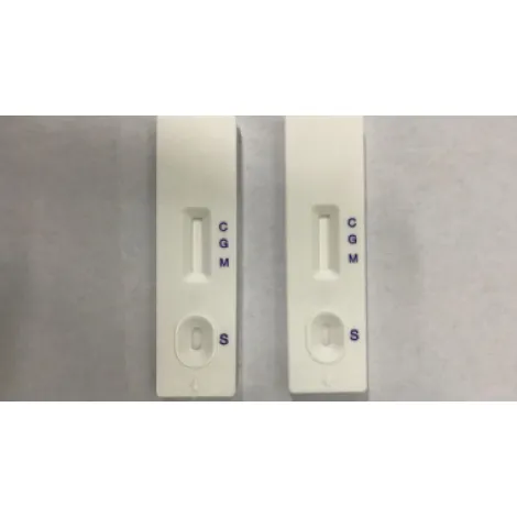 covid-19 rapid test kit