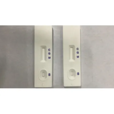 covid-19 rapid test kit