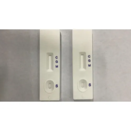 covid-19 rapid test kit