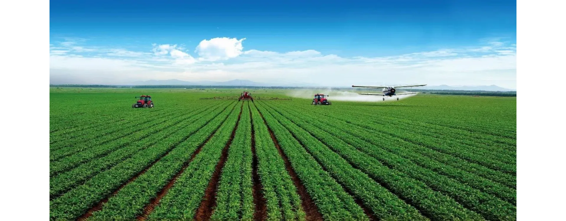 Build the strongest industrial chain to serve agriculture, rural areas and farmers